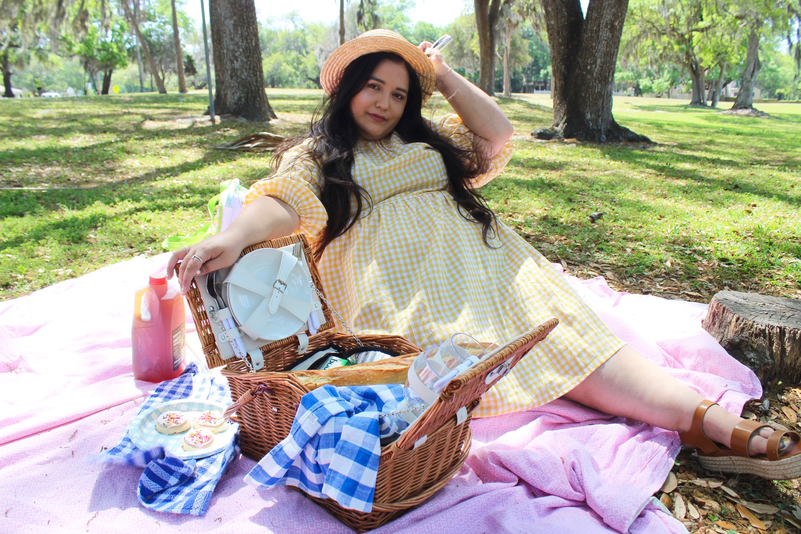 Gingham Lovin’ Girl Boss | Spring Picnic OOTD