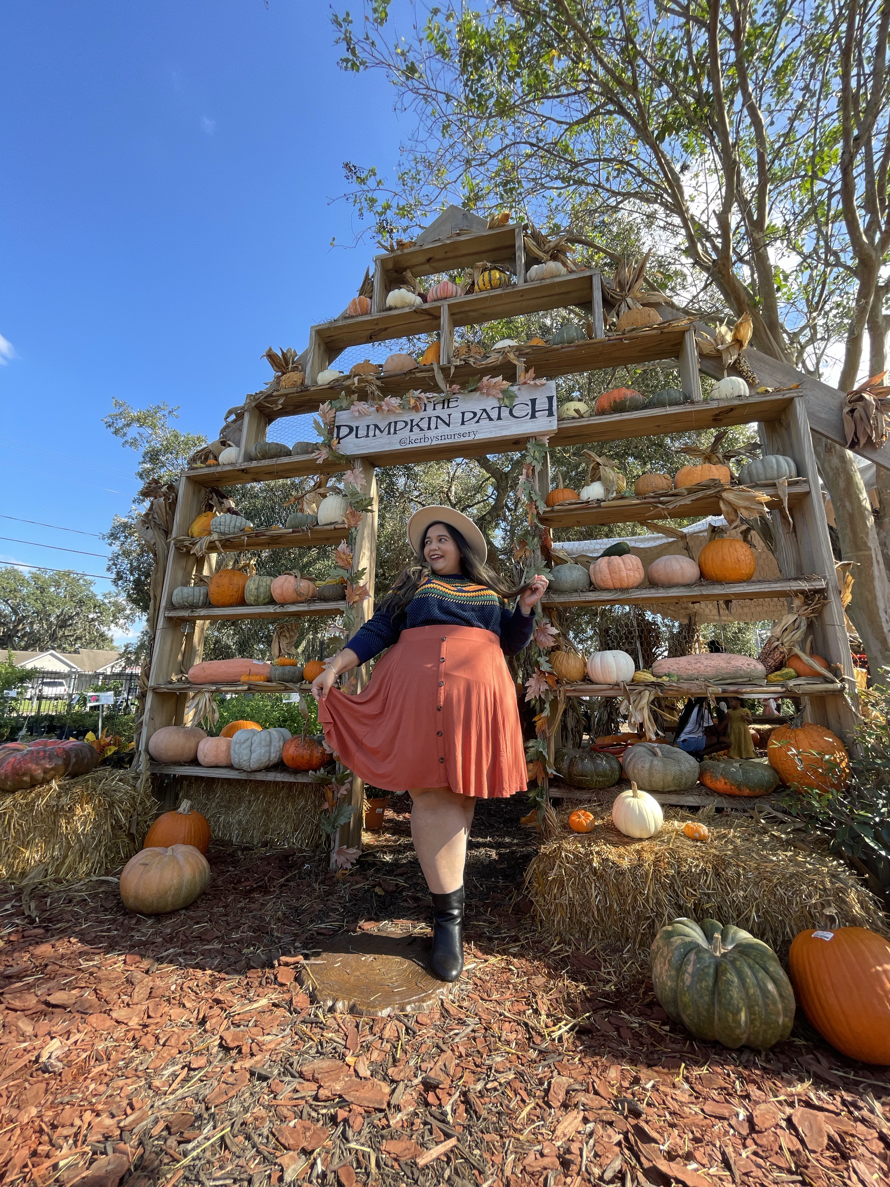 My Favorite Pumpkin Patches In Tampa Bay